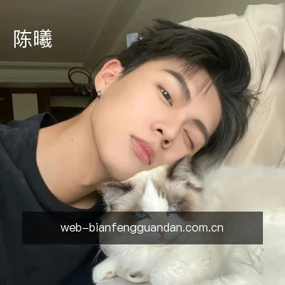 陈曦